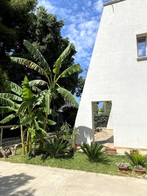 Appartement Casa Woow à Carini Extérieur photo